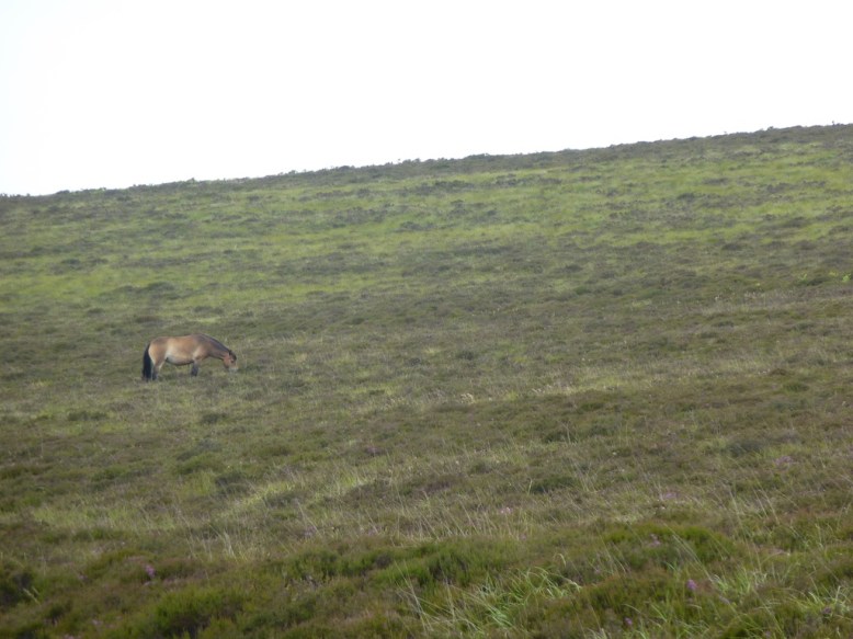 Enough Food For Weeks