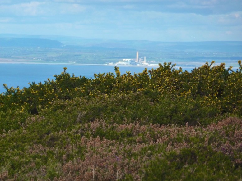 No Greener Grass on the Other Side