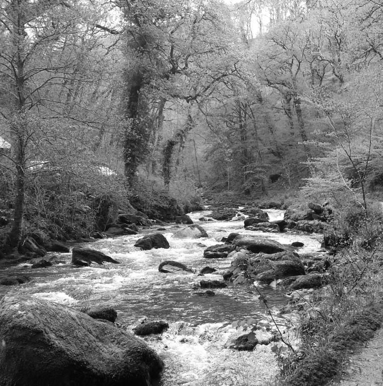 Photo by Lewis Stevenson