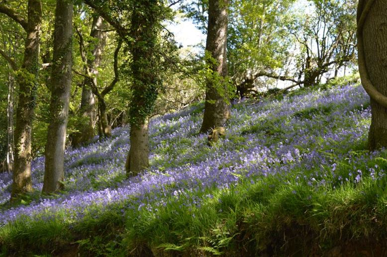 Photo by Annette Baker