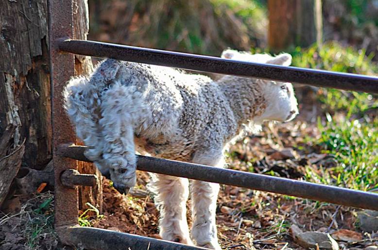 Photo by Alexia Miles