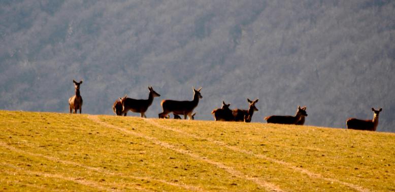 Photo by Alexia Miles