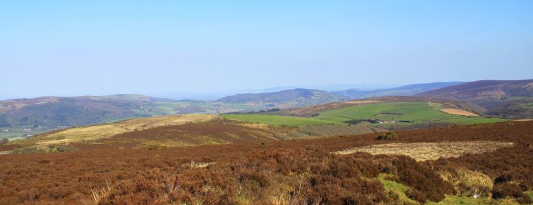 Photo by Peter French