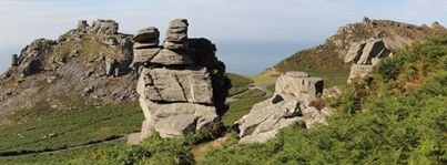 Photo by John McGowan