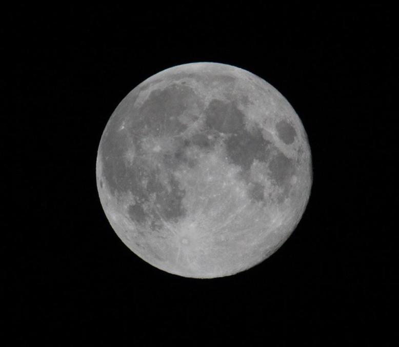 Taken on 19 September 2013 in Lynton, North Devon, by John McGowan www.thedenes.co.uk