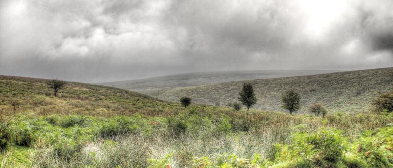 Photo by Peter French