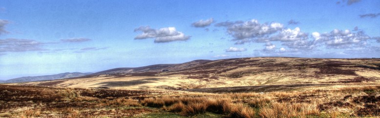 Photo  by Peter French