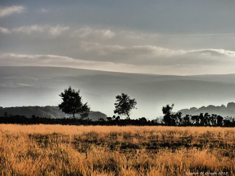 Photo by Gaynor Gough