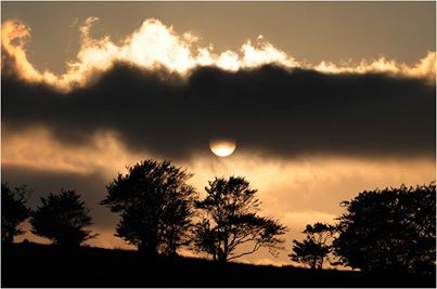 Photo by Twitchen Farm B&B