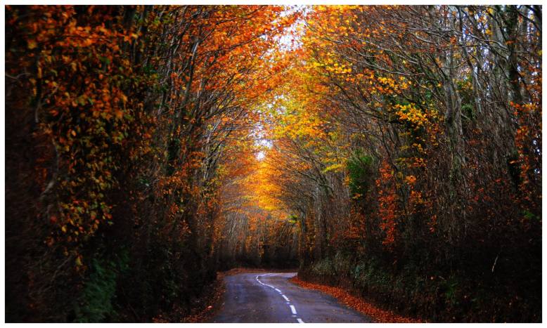 204 Twitchen Driving back