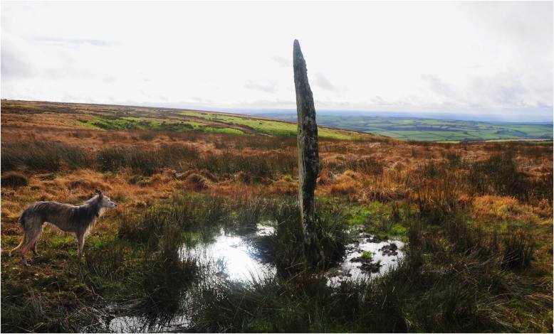 Photo by www.twitchen.co.uk