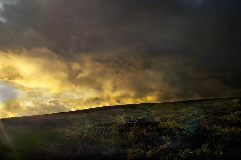 Photo taken by Robert Barker on 8 December 2013