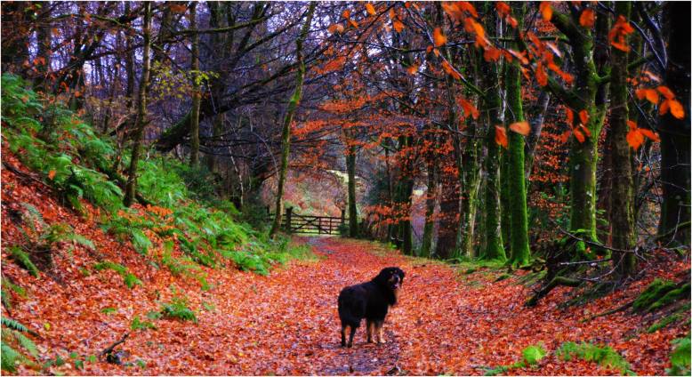 501 Twitchen Sat 7 Dec near Arlington