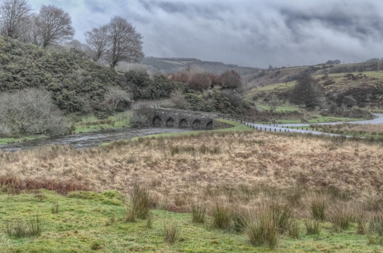 Photo by Mike Watson