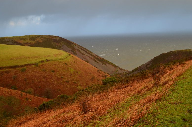 Photo by Julian Gurney