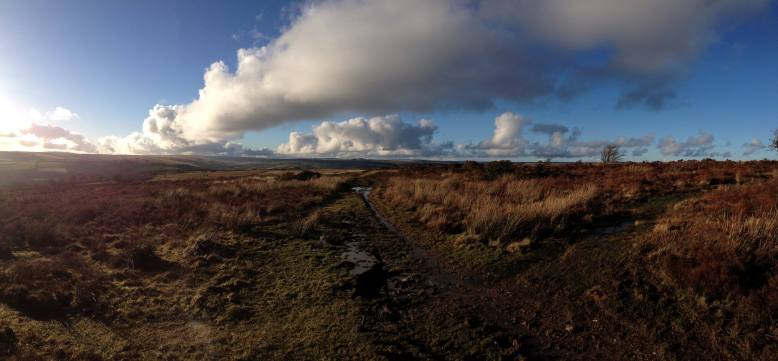 Captured by Adam 'adj' Collett while walking the dogs last weekend.