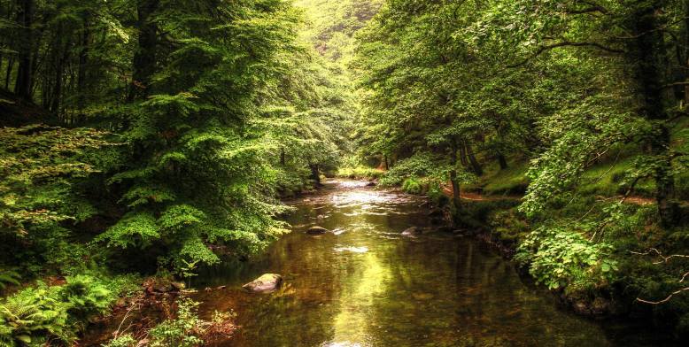 Photo by Peter French