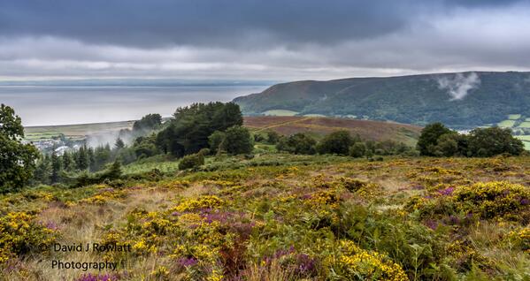 Rising mist over Porlock. Photo by Dave Rowlatt