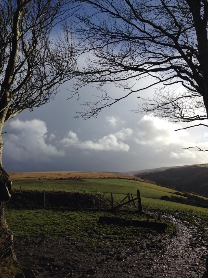 Photo by Will Bowden www.exmoorcentre.co.uk