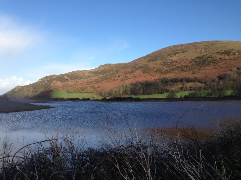 Looking towards Hurlstone Point. 