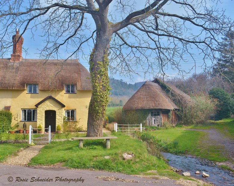 Photo by Rosie Schneider