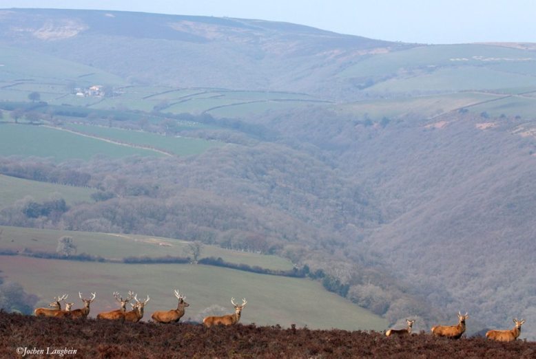 Photo by Jochen Langbein