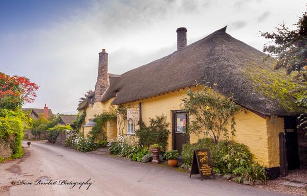 Photo by Dave Rowlatt