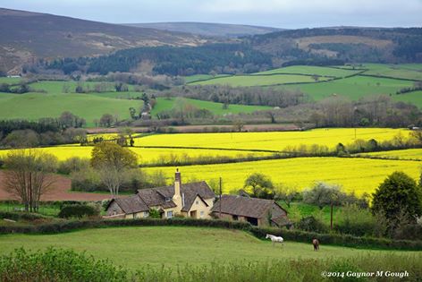 View from Wootton Courtney