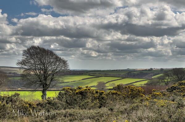 102 Mike Watson View from Withypool Hill