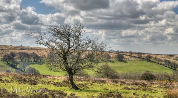 104 Mike Watson View from Drayton Knap