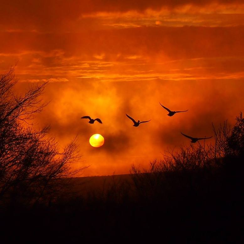 Tonight's sunset over Exmoor Zoo. Photo by Lynn Reynolds