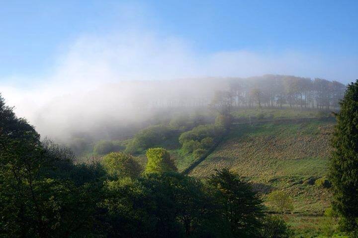 Above Simonsbath on 21 May 2014. Photo by Nicola Friedrich