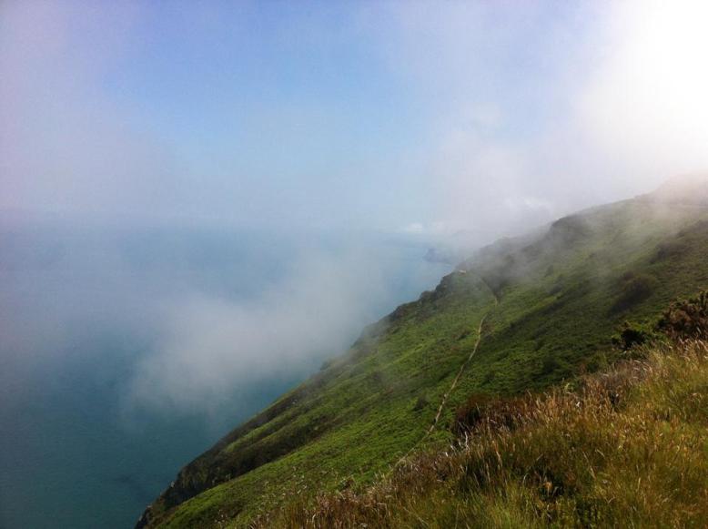 Exmoor coast, Summer 2013. Photo by Jenny Dalton