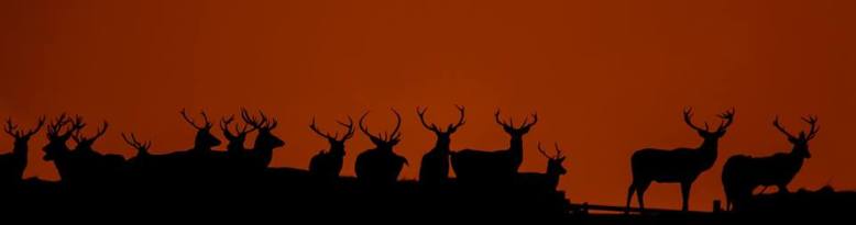 Photo by Alan Barrow - Winner of the Exmoor4all Photo Competition for March 2014