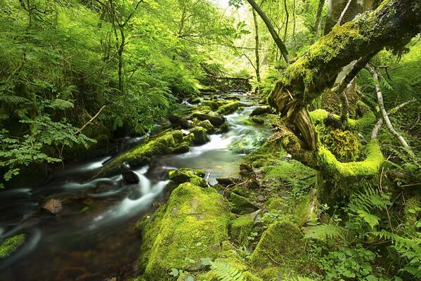 102 Rob Hatton Horner River