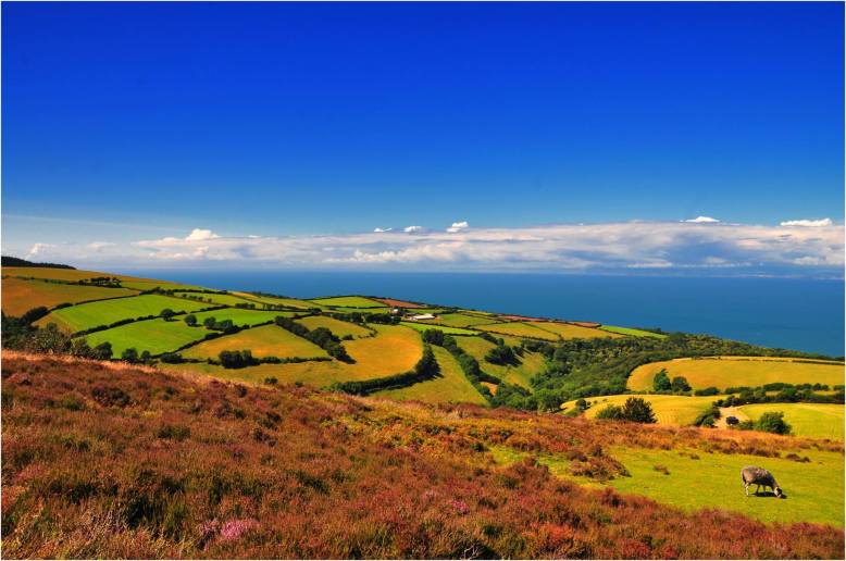 201 Twitchen Farm Over Porlock way