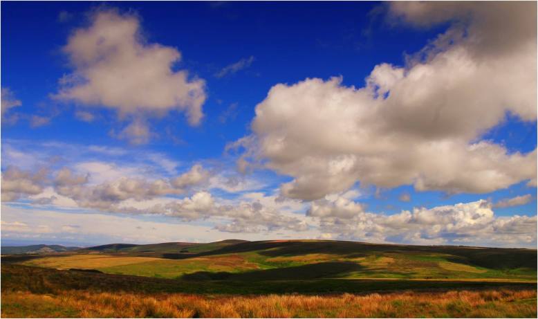 203 Twitchen Farm Over Porlock way