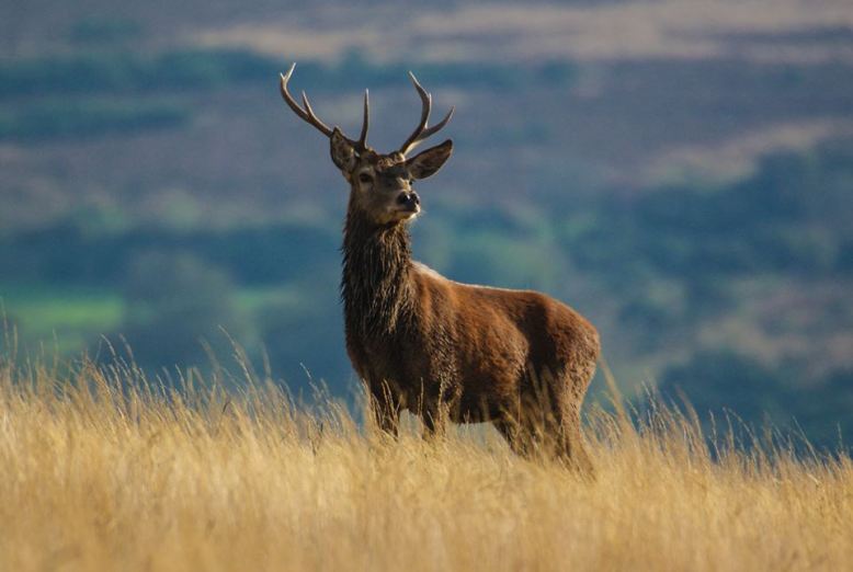 Winner of the Photo Competition in August. Photo by Dave Webb