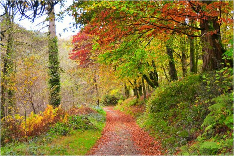 Photo by Twitchen Farm. www.twitchen.co.uk