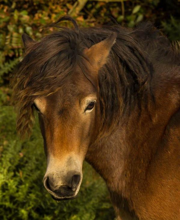 Photo by fourandtwentypixels.com