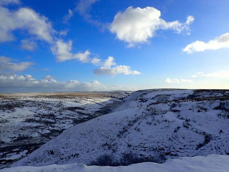 Prayway head this morning, 14 January 2015. Photo by Nicola Friedrich