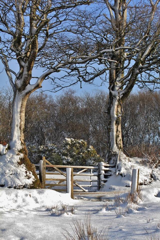 Photo by Phillip Simmons