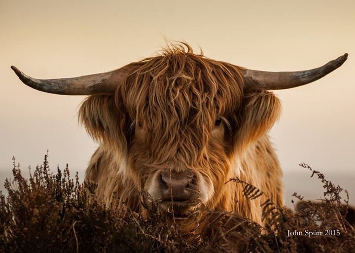 John Spurr was the overall winner of the Exmoor4all Photo Competition in March.