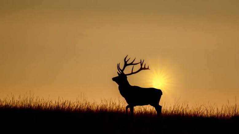 Winner in April: Ian Brown