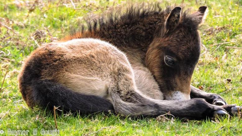 Overall winner in May: Gaynor Gough