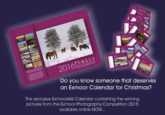 12196097_783852868403840_5280139451262126805_n