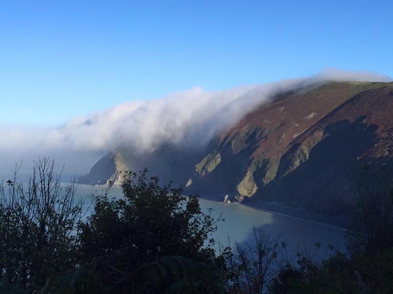 Photo by Caroline Cook