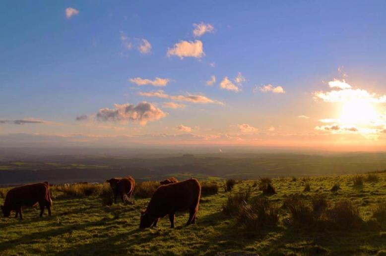 803 Linda Thompson Exmoor on a sunny Sunday afternoon