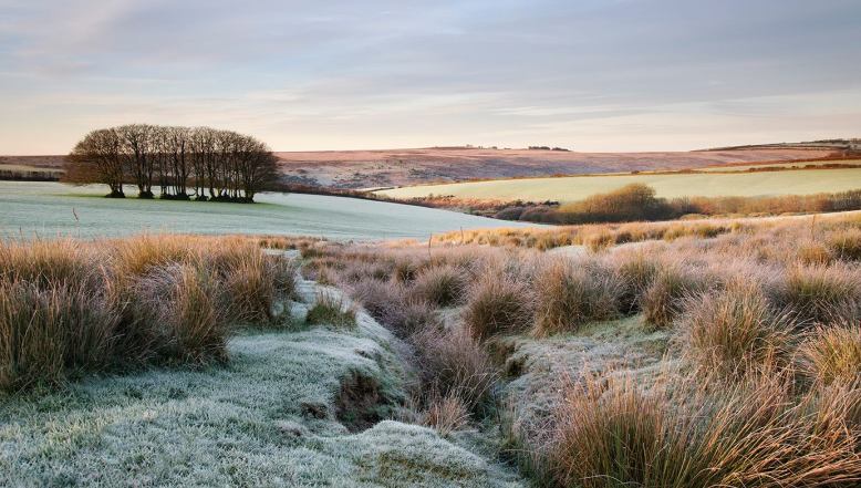 Photo by Richard Kift