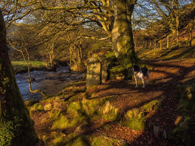 Near Robbers Bridge. Photo by Richard Havers.